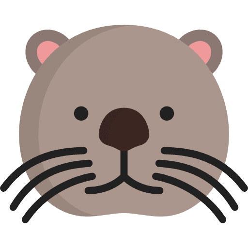 the face of a grey sea otter